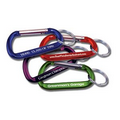 Carabiner W/ Key Ring